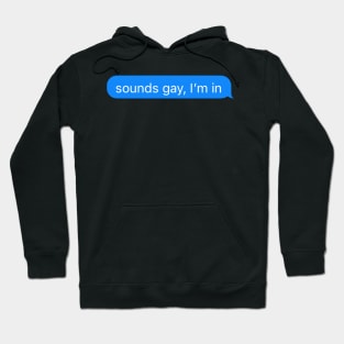 Sounds Gay Im In Hoodie